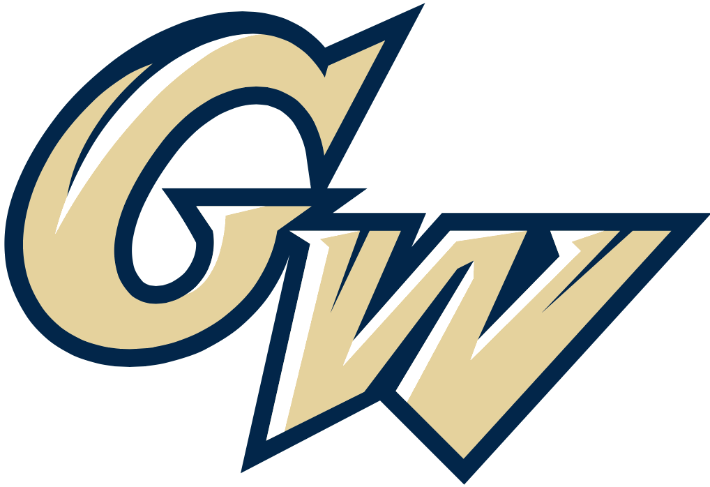 George Washington University