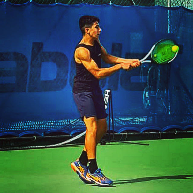 Lorenzo Raimondo ARTEMISIA