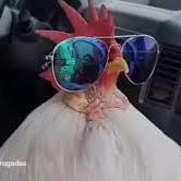 Cristofher Fajardo Menocal