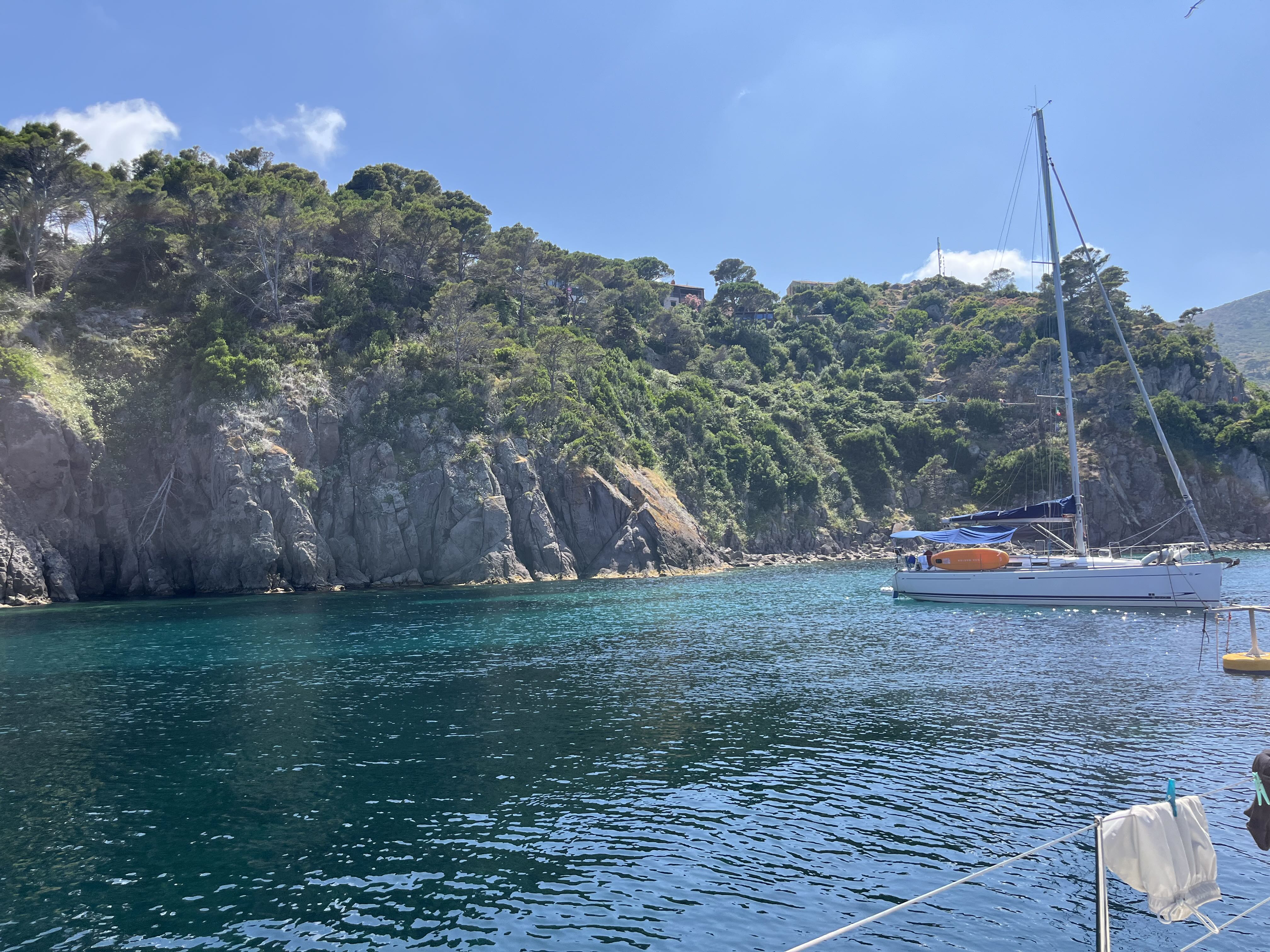 Sara Schiano-Lomoriello