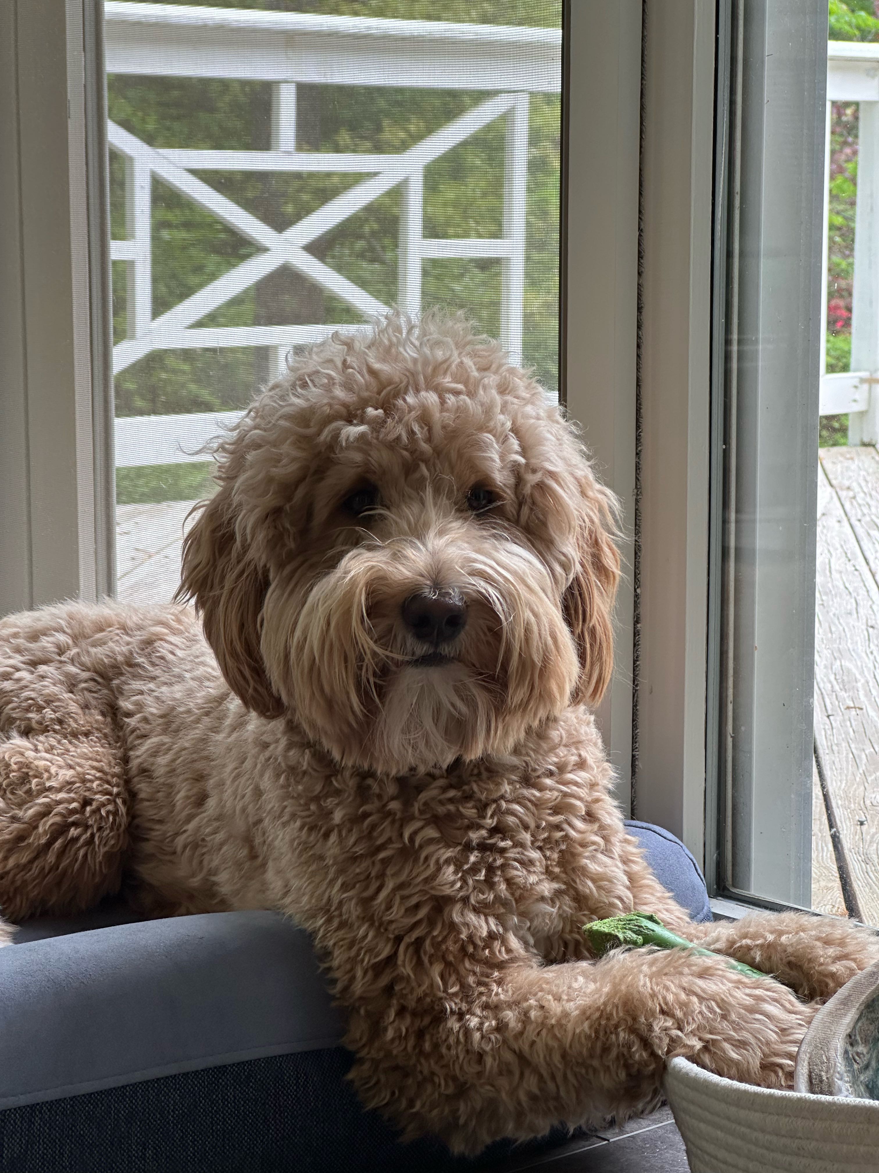 Mary-Margaret Whitten