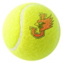 William Jewell College