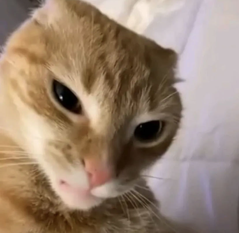 Carlos Diaz Sepulveda