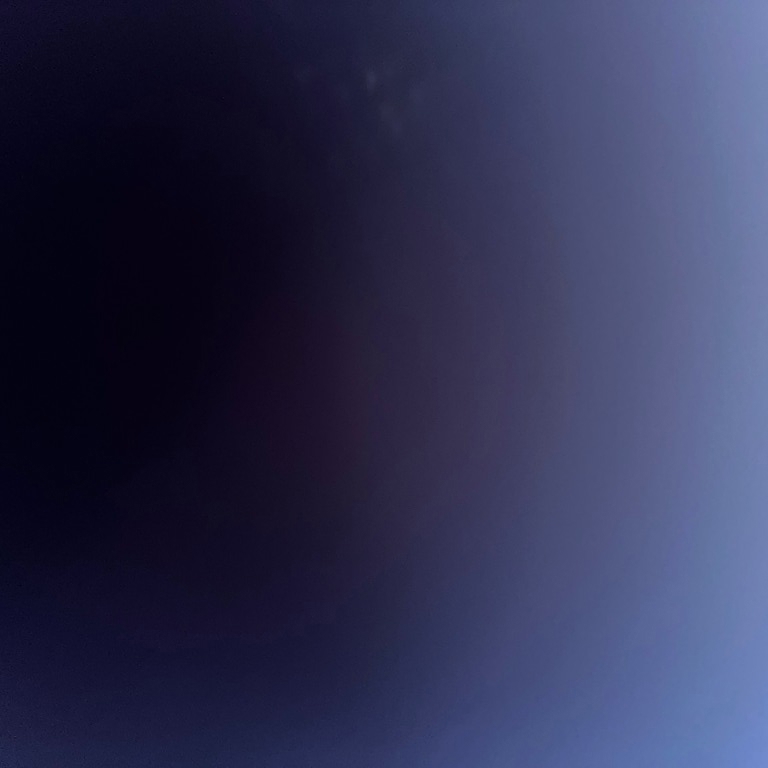 Matthew Xiaotong Chen