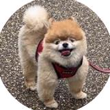 Agustin Martinez Gasque