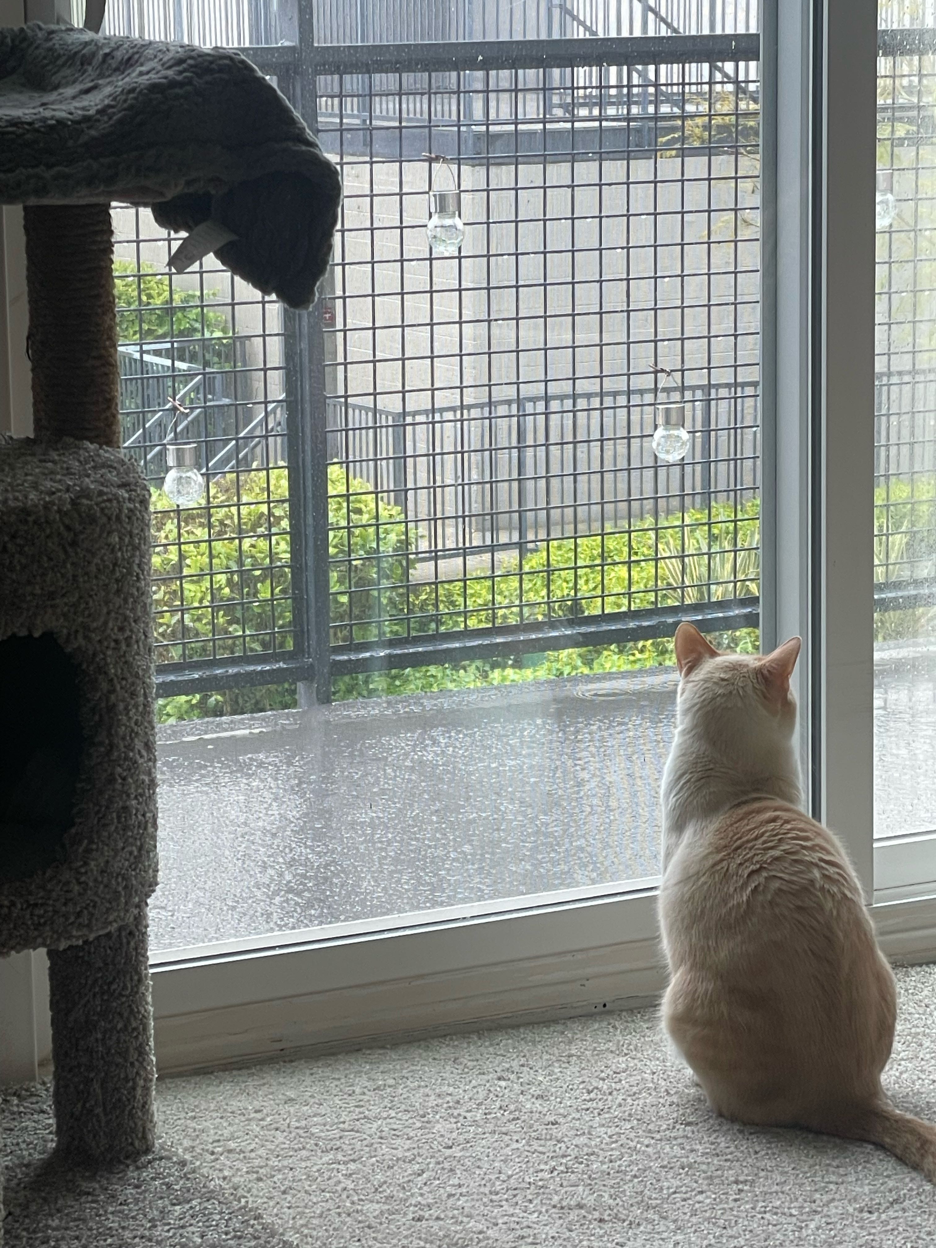 Eden Eugene - Robinson