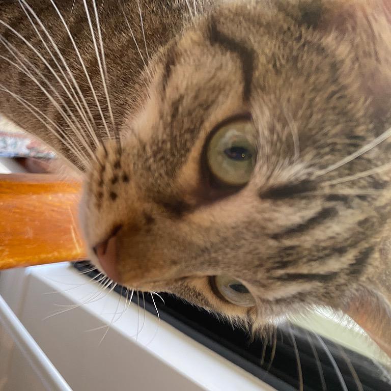 Aristotelis Evgenidis