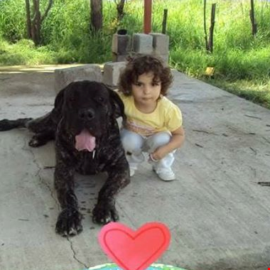 Sandra Isabela Arguelles