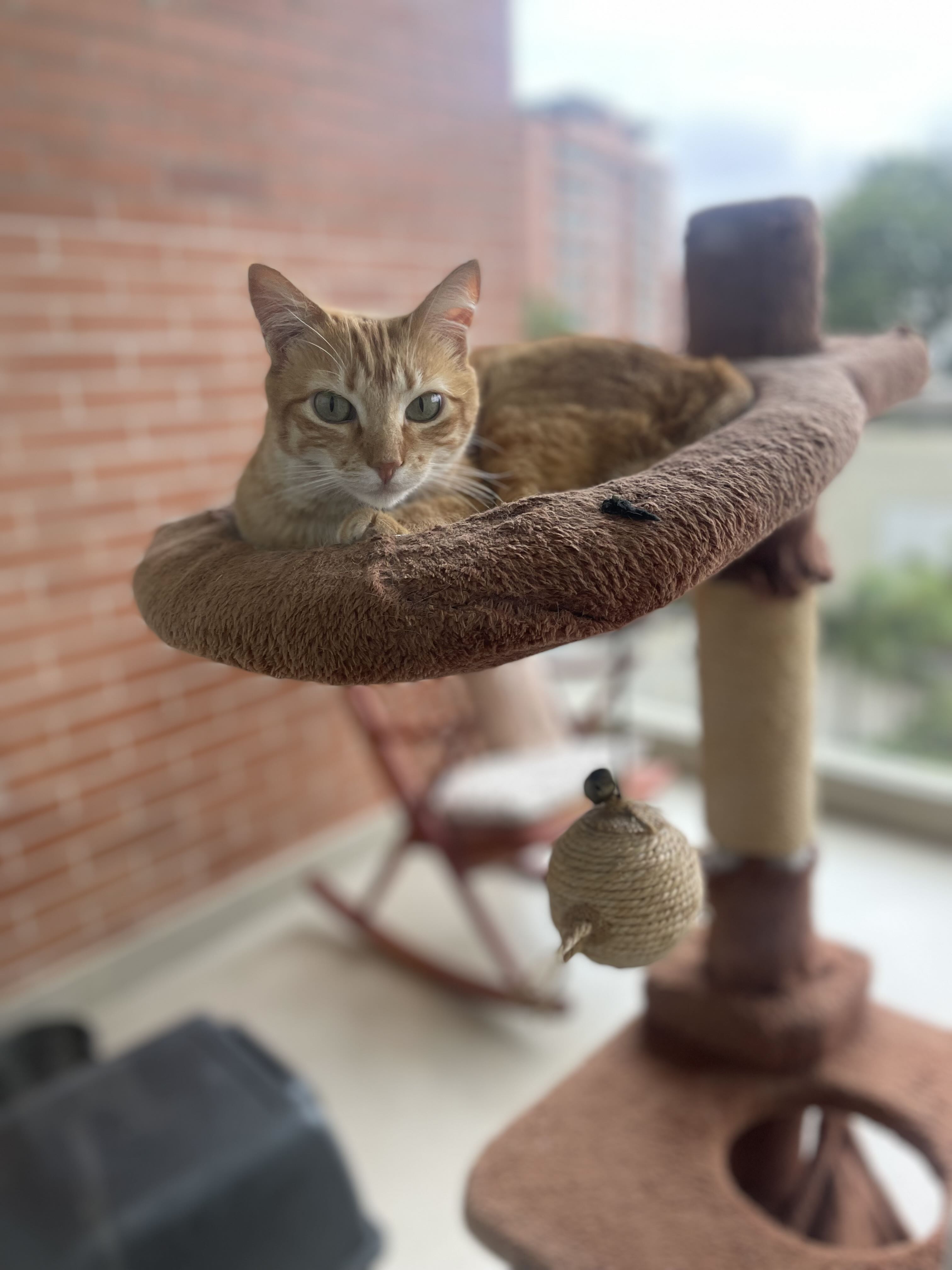 Juan Alberto Sandoval Toro