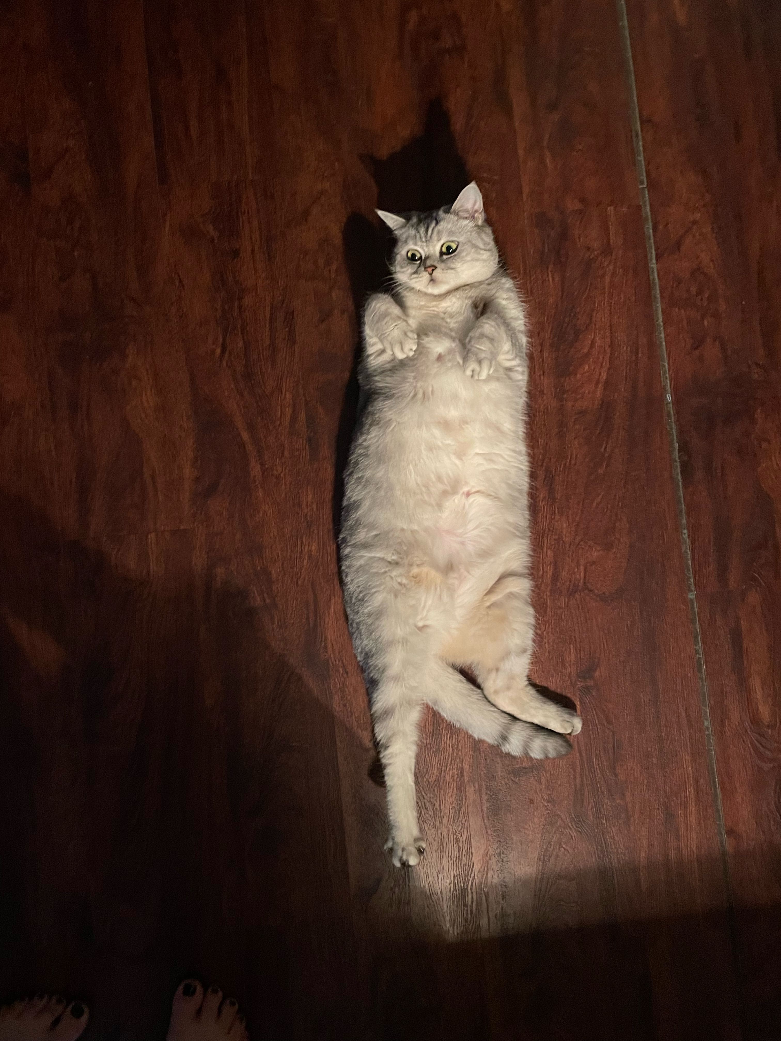 Mary Margaret McCormick