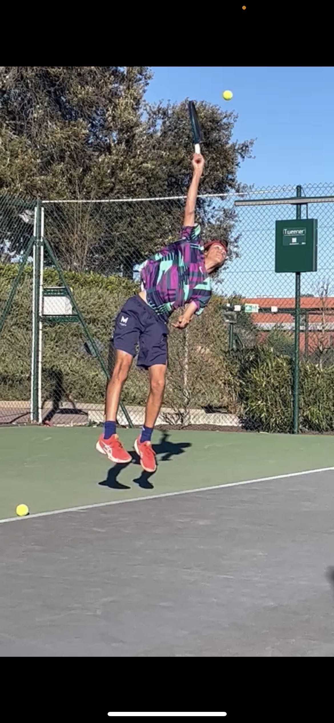 Vladimir Guyot-Sionnest