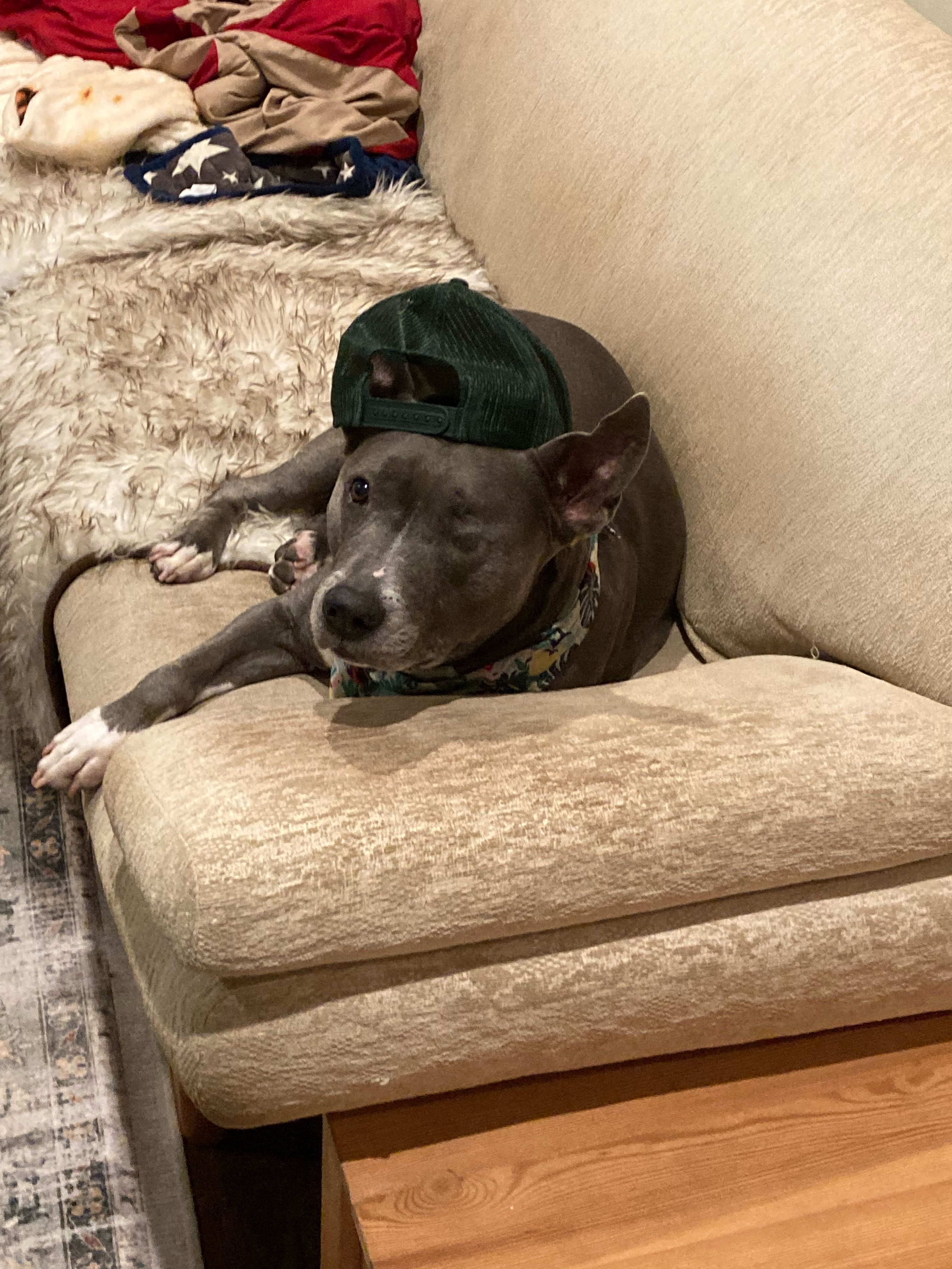 Tucker Salser-Meyers