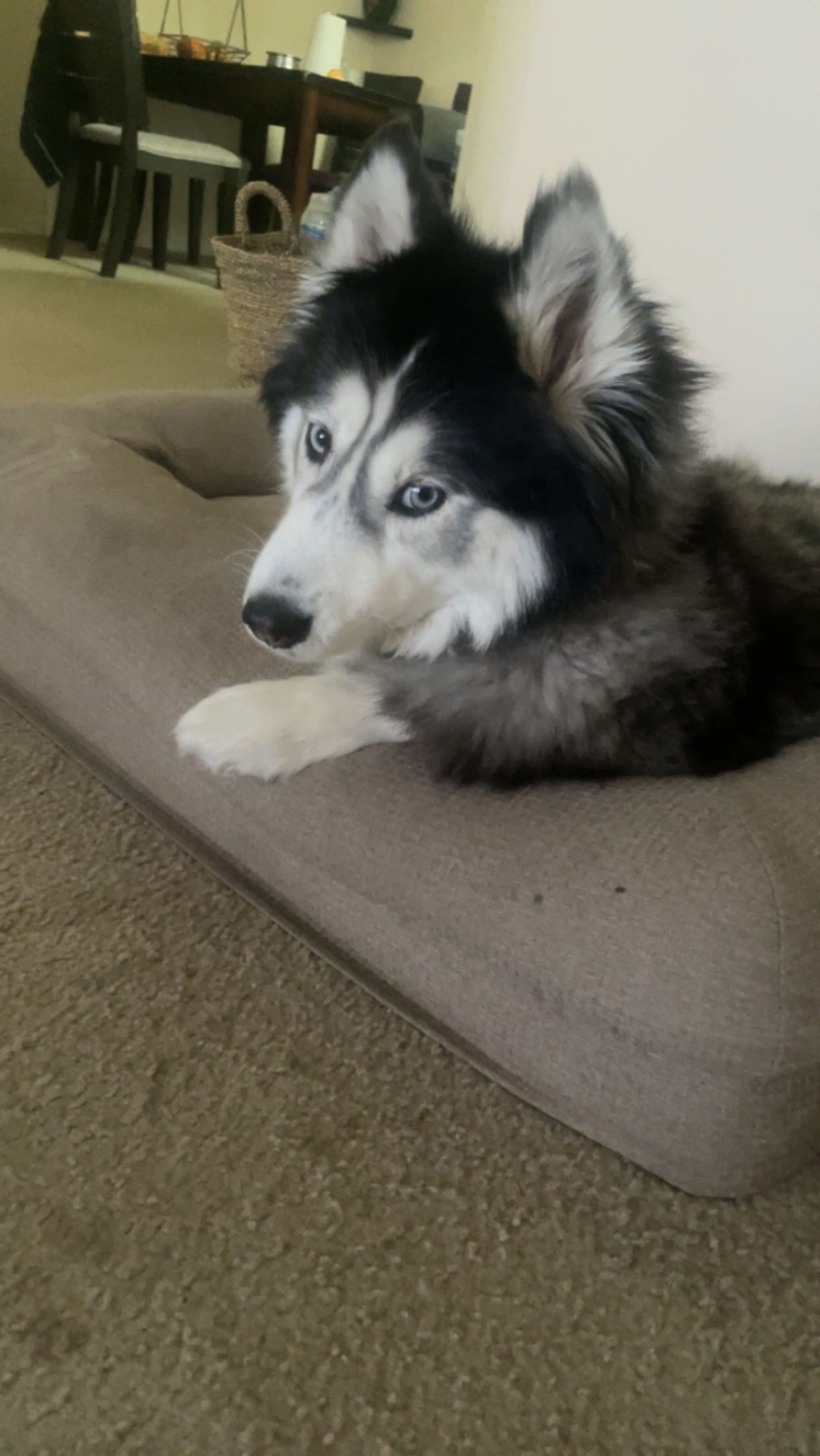 Jordan Richardraj Johnsonraj