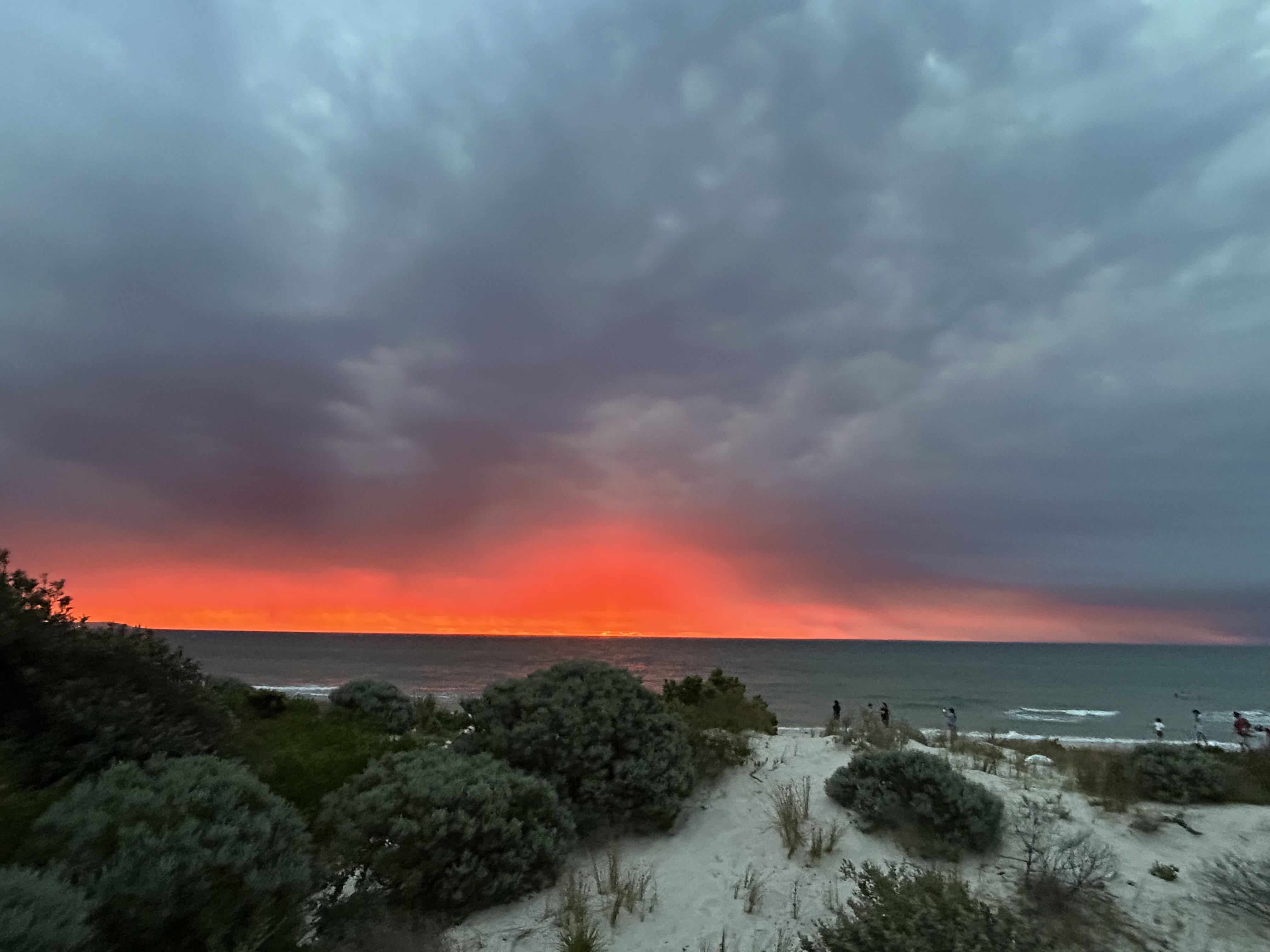 Harshini Purushothaman