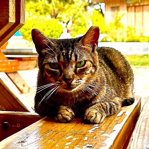 Nivan Chidambaranathan