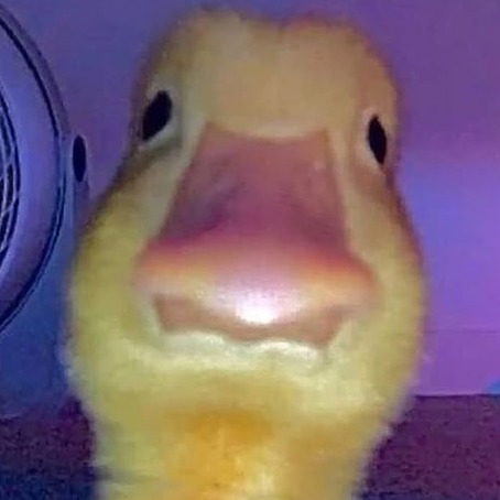 Joey Chethan Marisetty