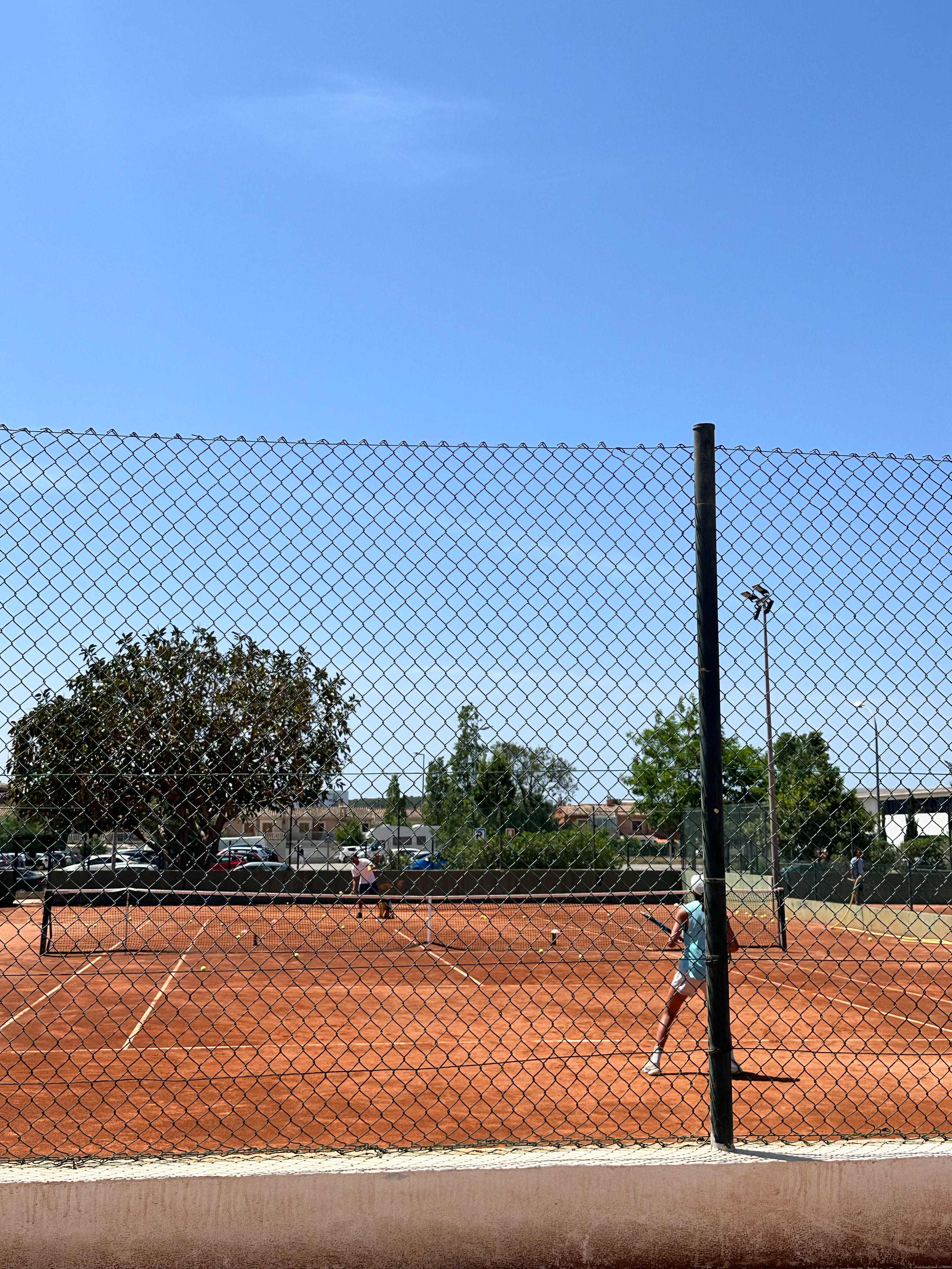 Alice Ferreira Abrahao Monteiro De Miranda