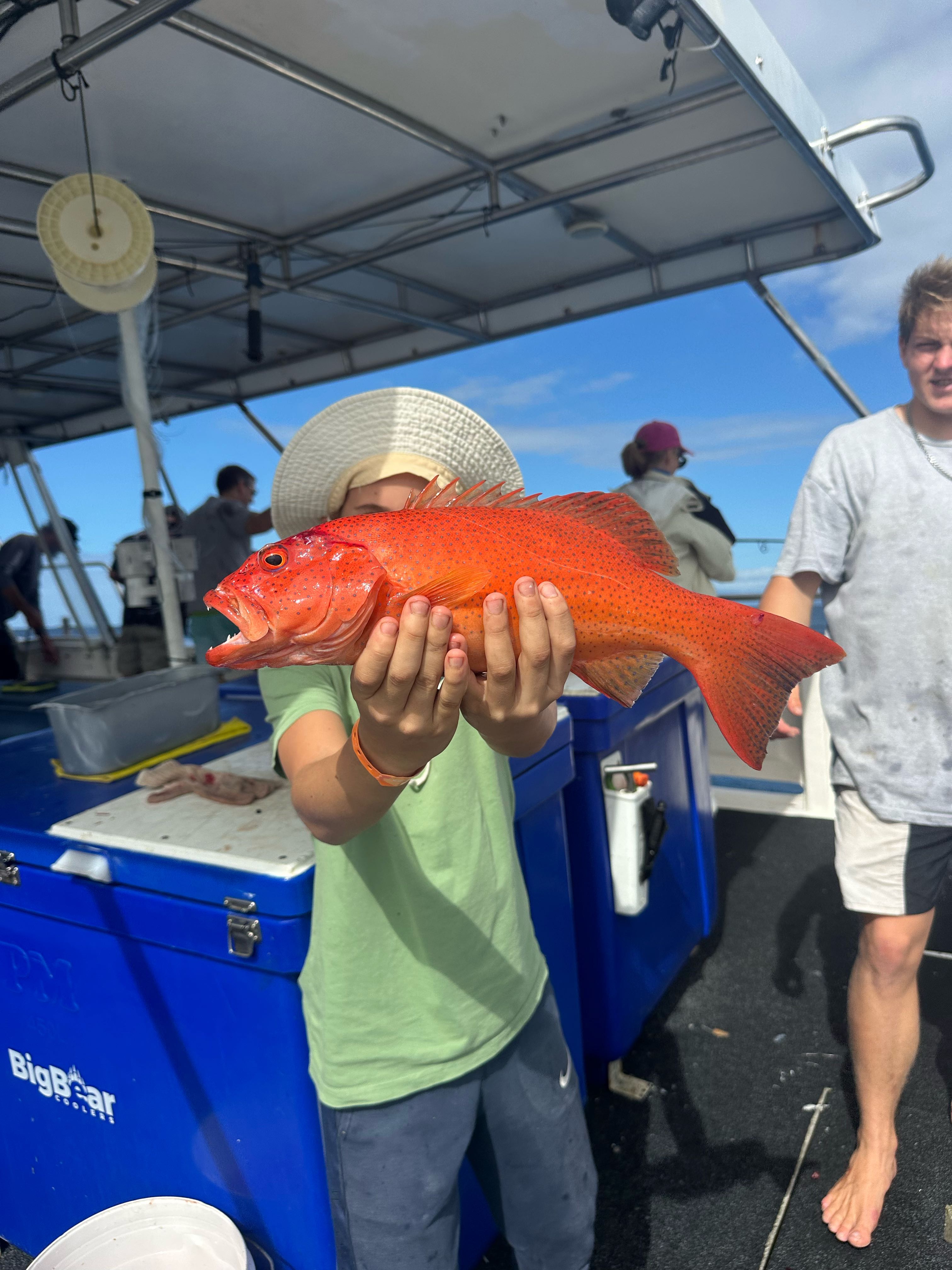 Leonardo Caio primo Vassena