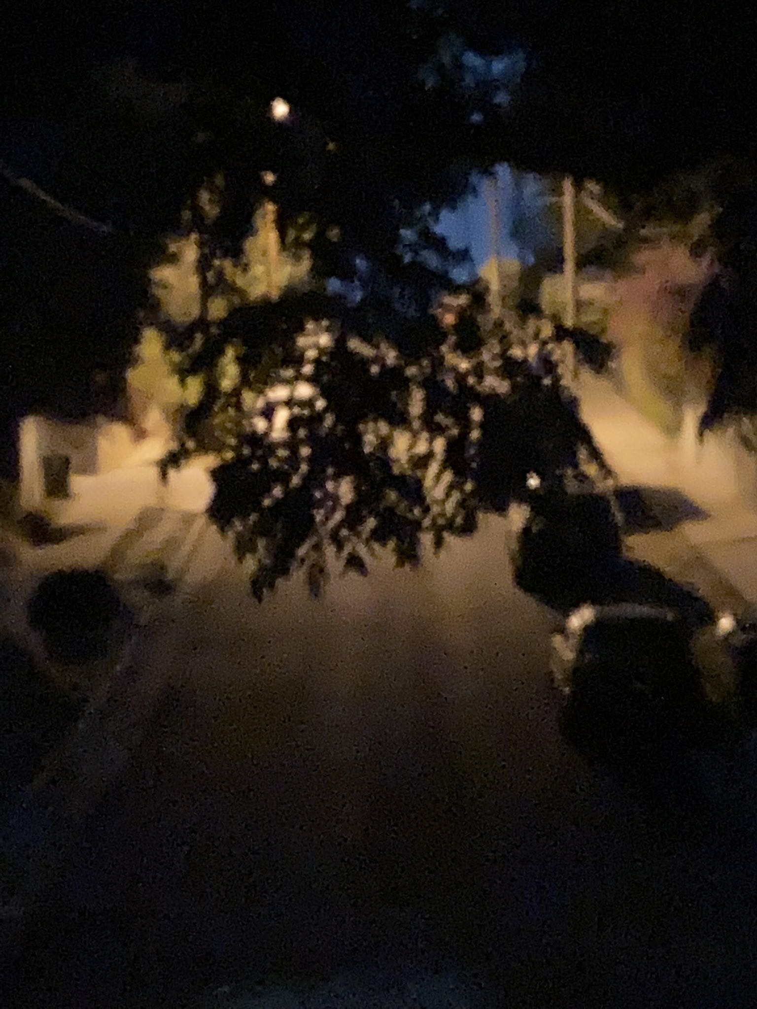 Whalen Samuel Raymond Farish