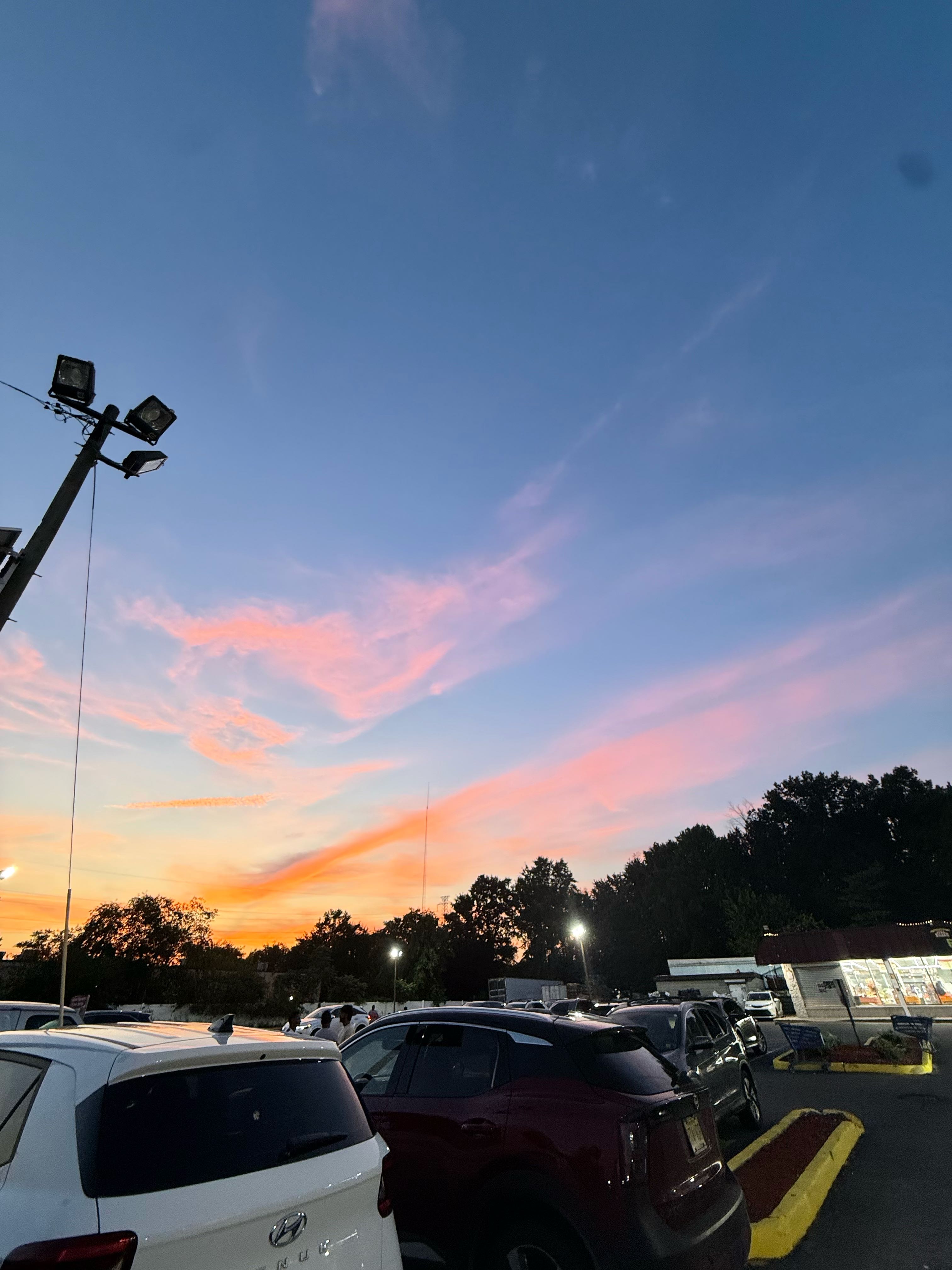 Anushka Arvind Sriram